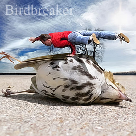 Birdbreaker