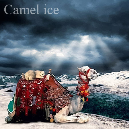 Camel ice