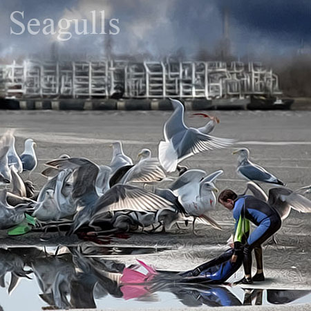 Seagulls