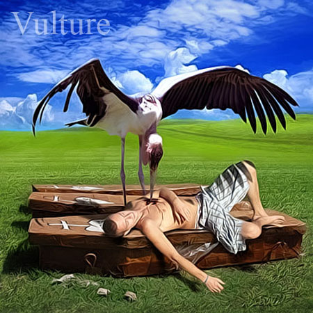 Vulture