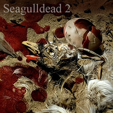 Seagulldead 2